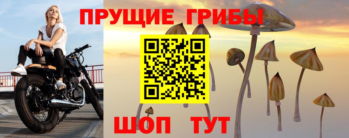 Псилоцибиновые грибы прущие грибы Джанкой